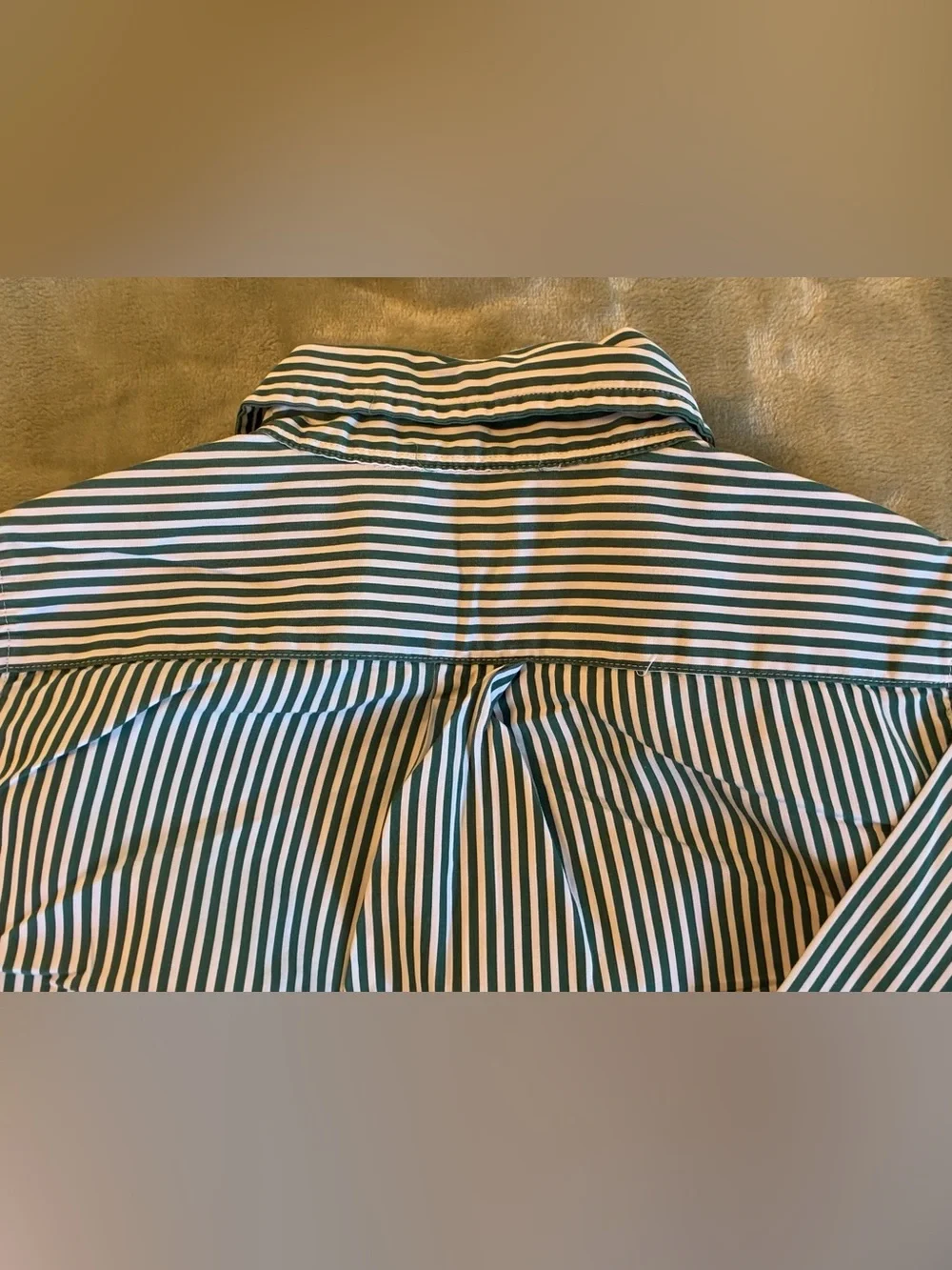 Boys Size 7 Ralph Lauren Green & White Striped Button-Down Shirt